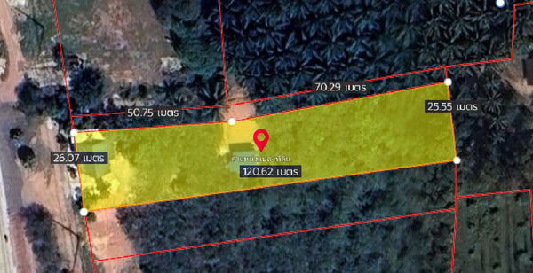 Land for sale in Tha Chang, Surat Thani | Near Bangchak Tha Chang gas station