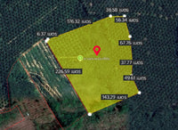 Oil palm plantation for sale, 6 rai @ Bang Baimai Intersection, price 2.XX MB / rai