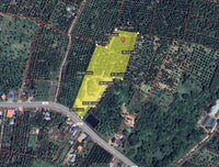 Vacant land for sale, near Lotus Regional Distribution Center, Surat Thani. 18 rai, 83.6 square wah.