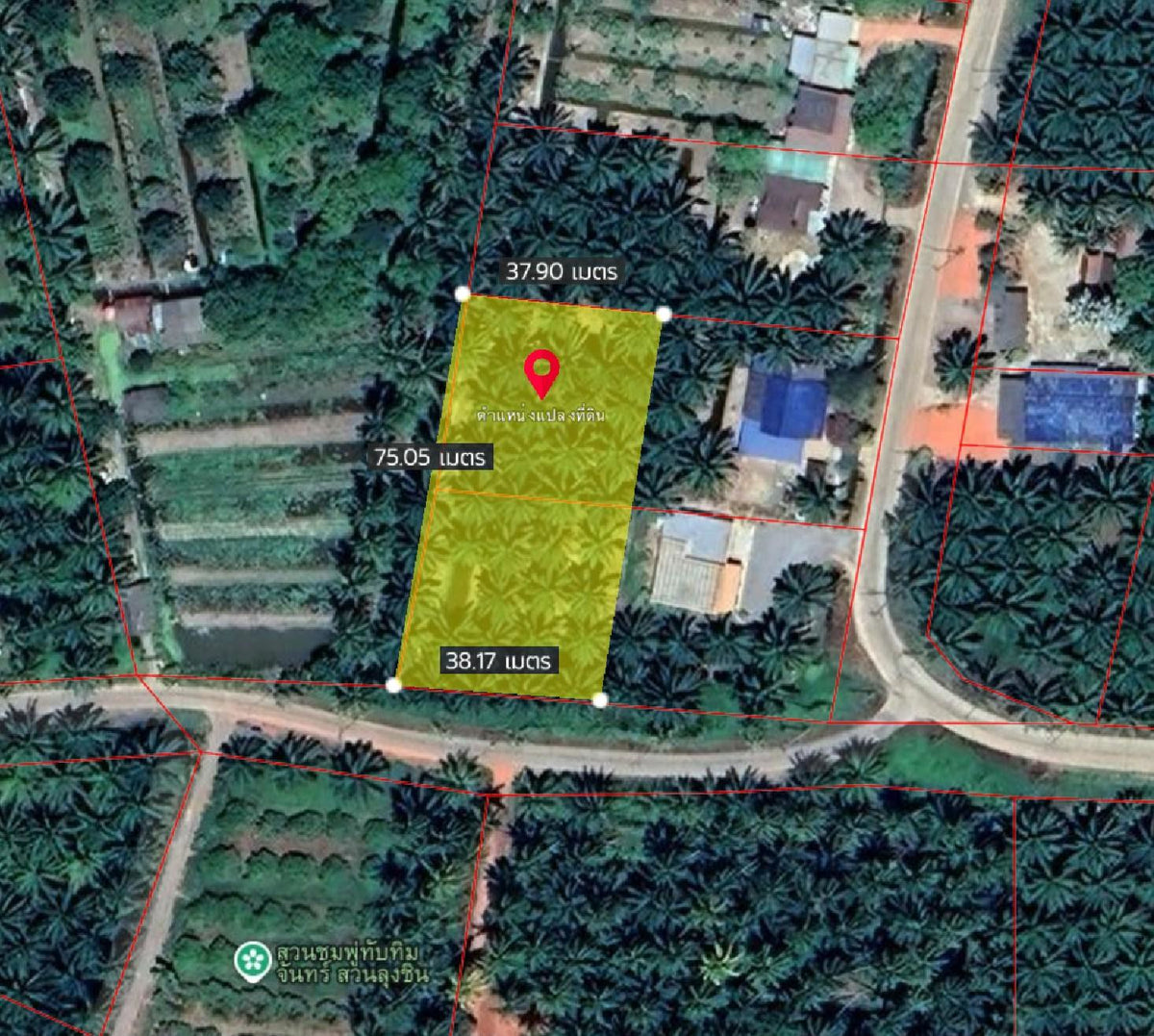 Oil palm plantation for sale, 6 rai @ Bang Baimai Intersection, price 2.XX MB / rai