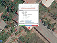 Oil palm plantation for sale, 6 rai @ Bang Baimai Intersection, price 2.XX MB / rai