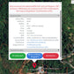 Oil palm plantation for sale, 6 rai @ Bang Baimai Intersection, price 2.XX MB / rai
