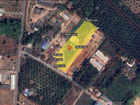 Oil palm plantation for sale, 6 rai @ Bang Baimai Intersection, price 2.XX MB / rai