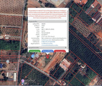 Oil palm plantation for sale, 6 rai @ Bang Baimai Intersection, price 2.XX MB / rai