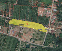 Oil palm plantation for sale, 6 rai @ Bang Baimai Intersection, price 2.XX MB / rai