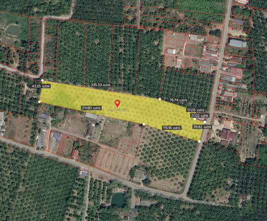 ขายที่ดินสวนปาล์ม 10 ไร่ (ผังสีชมพู) หลัง รพ. เขาพนม  - กระบี่ ไร่ละ 1.5 ล้าน ยกแปลง 15 ล้านบาท