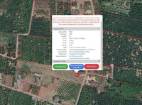 Oil palm plantation for sale, 6 rai @ Bang Baimai Intersection, price 2.XX MB / rai