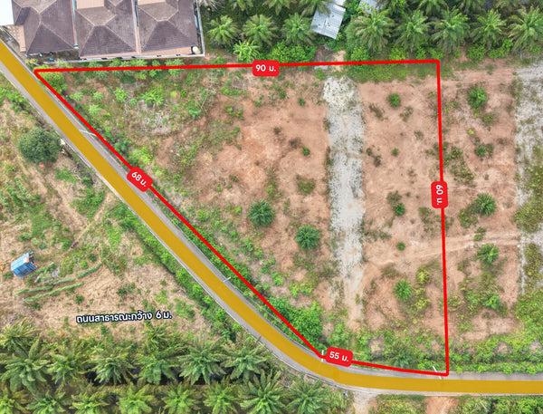 Oil palm plantation for sale, 6 rai @ Bang Baimai Intersection, price 2.XX MB / rai