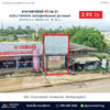 Oil palm plantation for sale, 6 rai @ Bang Baimai Intersection, price 2.XX MB / rai