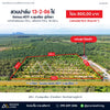 Oil palm plantation for sale, 6 rai @ Bang Baimai Intersection, price 2.XX MB / rai