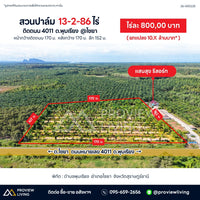 ขายสวนปาล์ม 13-2-86 ไร่ ติดถนน 4011 ต.พุมเรียง @ไชยา ไร่ละ 800,000 บาท ยกแปลง 10.X ล้านบาท