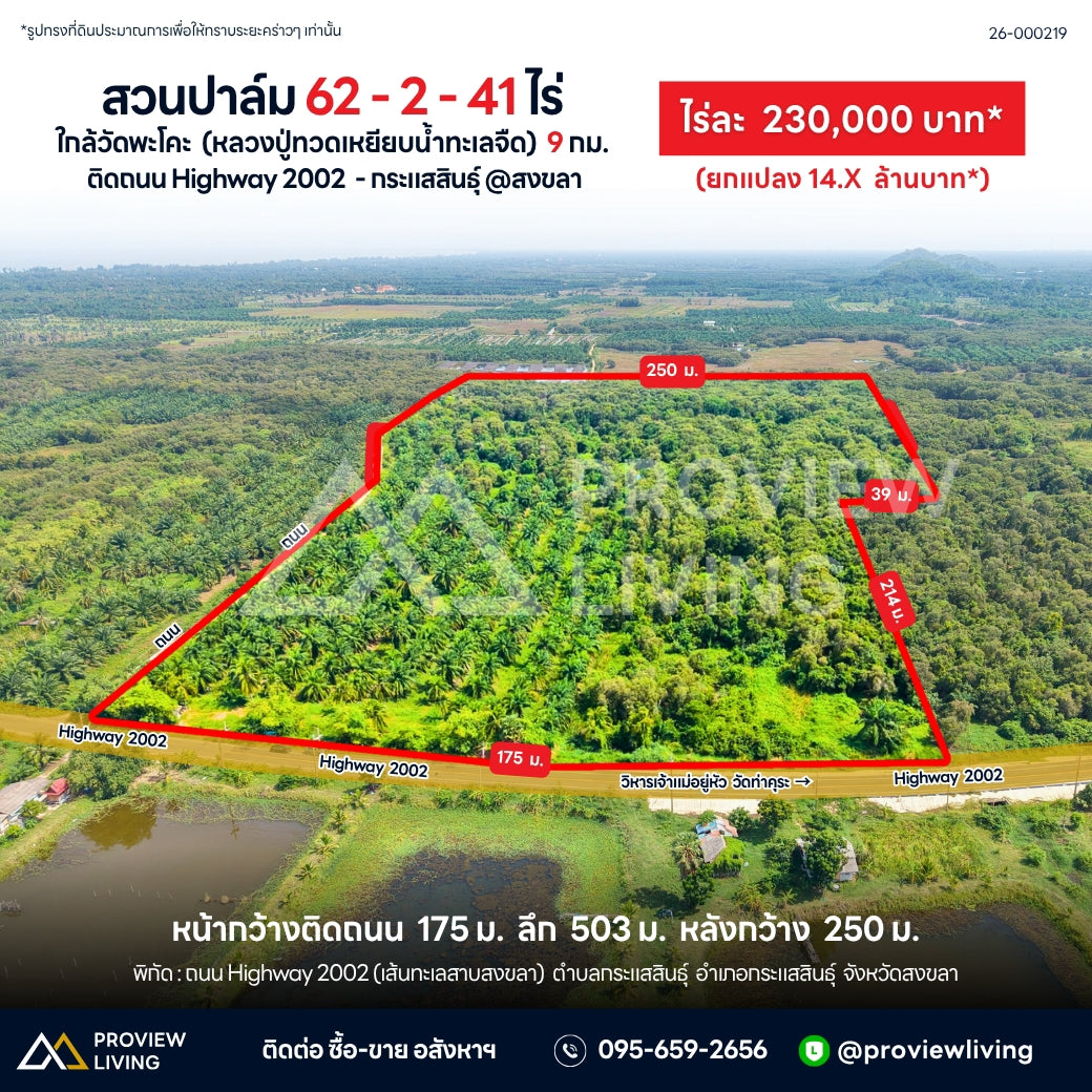 ขายสวนปาล์ม 62-2-41 ไร่ ติดถนน Highway 2002 - กระแสสินธุ์ @สงขลา ไร่ละ 230,000 ยกแปลง 14.X ล้านบาท