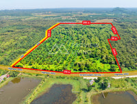 ขายสวนปาล์ม 62-2-41 ไร่ ติดถนน Highway 2002 - กระแสสินธุ์ @สงขลา ไร่ละ 230,000 ยกแปลง 14.X ล้านบาท