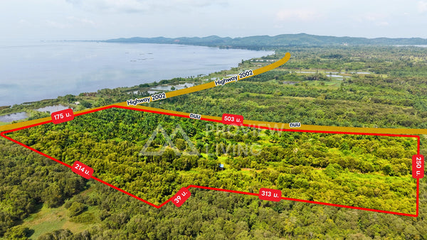 ขายสวนปาล์ม 62-2-41 ไร่ ติดถนน Highway 2002 - กระแสสินธุ์ @สงขลา ไร่ละ 230,000 ยกแปลง 14.X ล้านบาท