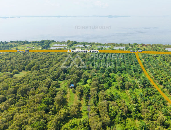 ขายสวนปาล์ม 62-2-41 ไร่ ติดถนน Highway 2002 - กระแสสินธุ์ @สงขลา ไร่ละ 230,000 ยกแปลง 14.X ล้านบาท