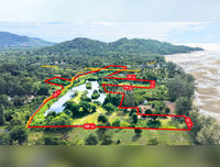 Oil palm plantation for sale, 6 rai @ Bang Baimai Intersection, price 2.XX MB / rai