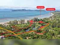 Oil palm plantation for sale, 6 rai @ Bang Baimai Intersection, price 2.XX MB / rai