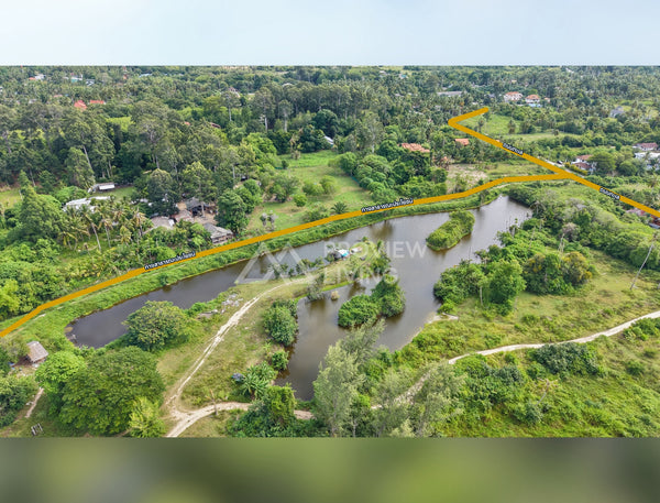Oil palm plantation for sale, 6 rai @ Bang Baimai Intersection, price 2.XX MB / rai