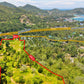 ขายที่ดิน Sea View 21-3-14 ไร่ @เกาะพะงัน ใกล้หาดโฉลกหลำ 800 ม. - ห่างจาก ถ. ท้องศาลา - โฉลกหลำ 100 ม. ไร่ละ 5.5X ล้านบาท