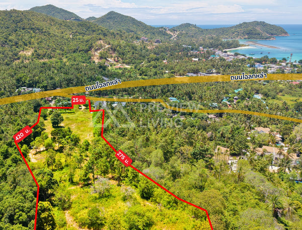 ขายที่ดิน Sea View 21-3-14 ไร่ @เกาะพะงัน ใกล้หาดโฉลกหลำ 800 ม. - ห่างจาก ถ. ท้องศาลา - โฉลกหลำ 100 ม. ไร่ละ 5.5X ล้านบาท