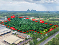 ขายที่ดิน 46-0-89 ไร่ ติดถนนสุราษฎร์ - นครศรี (401) - ข้างโรงงานศรีตรังโกลฟส์ ต.พลายวาส อ.กาญจนดิษฐ์ ไร่ละ 2.X ล้านบาท