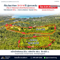 ขายที่ดิน Sea View 21-3-14 ไร่ @เกาะพะงัน ใกล้หาดโฉลกหลำ 800 ม. - ห่างจาก ถ. ท้องศาลา - โฉลกหลำ 100 ม. ไร่ละ 5.5X ล้านบาท