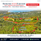 Oil palm plantation for sale, 6 rai @ Bang Baimai Intersection, price 2.XX MB / rai