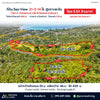 Oil palm plantation for sale, 6 rai @ Bang Baimai Intersection, price 2.XX MB / rai