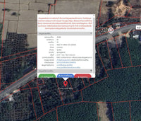 Oil palm plantation for sale, 6 rai @ Bang Baimai Intersection, price 2.XX MB / rai