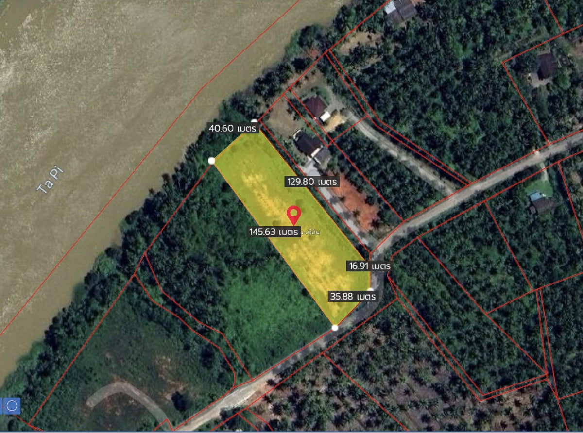 Oil palm plantation for sale, 6 rai @ Bang Baimai Intersection, price 2.XX MB / rai