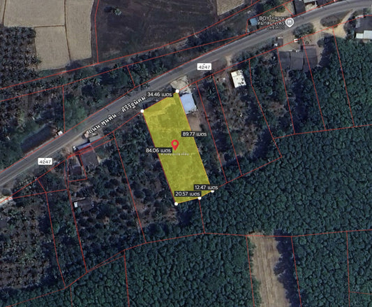 Oil palm plantation for sale, 6 rai @ Bang Baimai Intersection, price 2.XX MB / rai