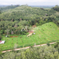 Oil palm plantation for sale, 6 rai @ Bang Baimai Intersection, price 2.XX MB / rai
