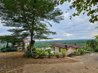 House for sale in Surat Thani, Khao Noi, Khao Hua Kwai Resort, Phunphin, 9 houses, near Phunisa Shop
