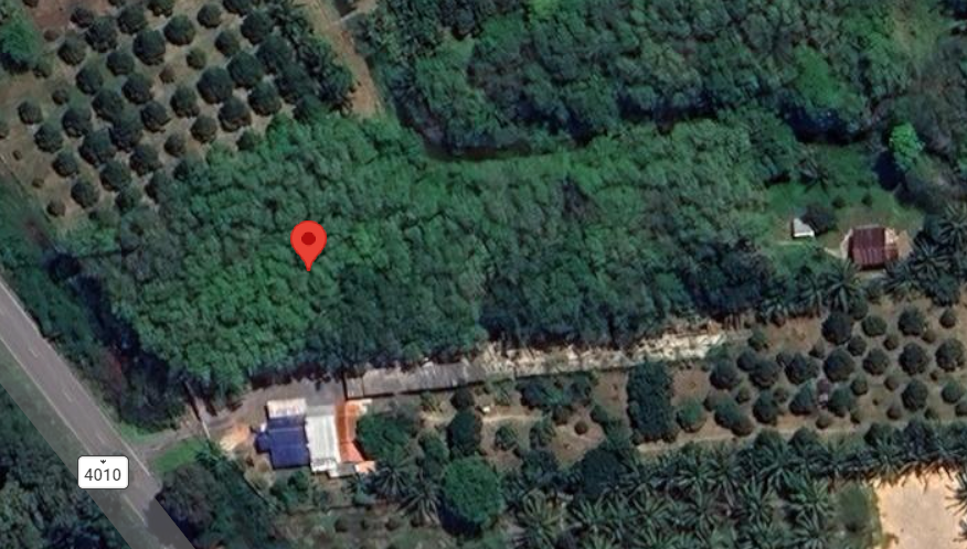 ขายที่ดินเปล่า กาญจนดิษฐ์ 1 ไร่ 5 งาน ราคา 2.XX ลบ