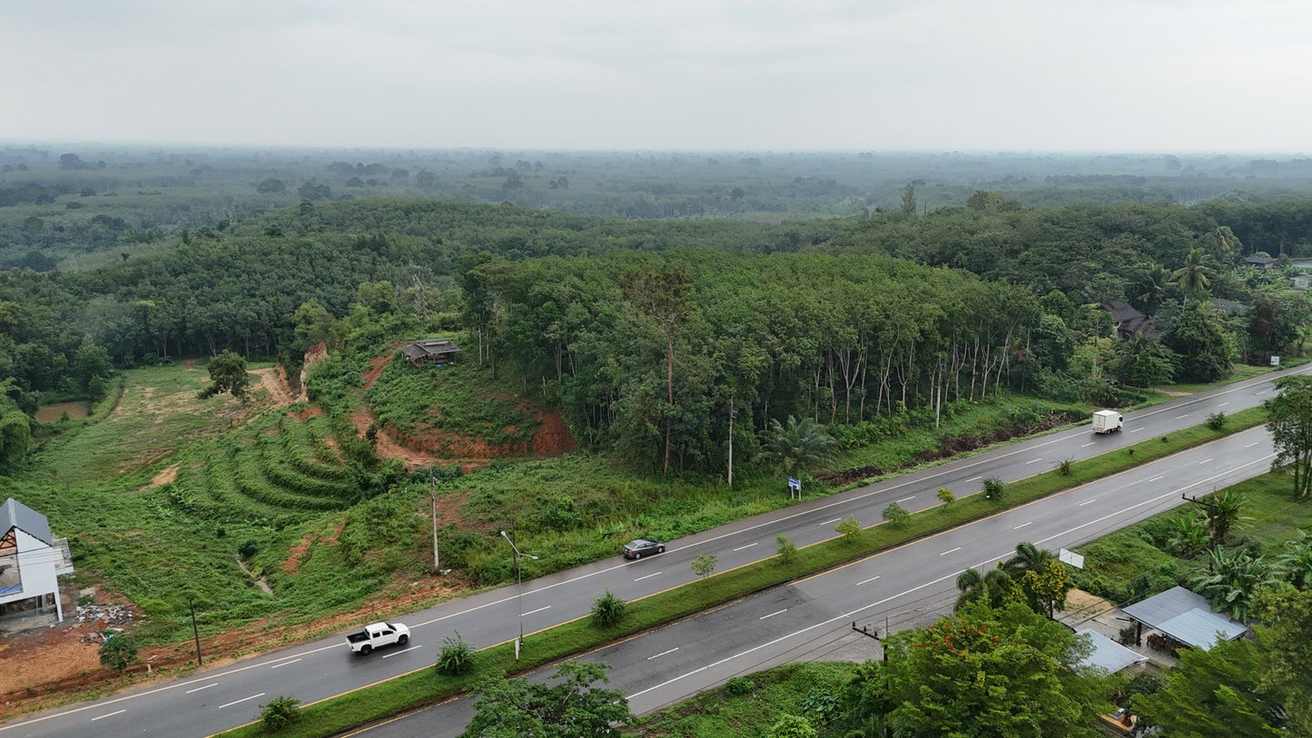 [ขายด่วน] ที่ดินกม 25 3 ไร่ 3 งาน 95.5 ตารางวา