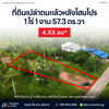 [ขายด่วน] ที่ดินเปล่า 1 ไร่ 1 งาน 57.3 ตารางวา ทำเลทองย่านวัดประดู่ หลังโฮมโปร ใกล้ โรงพยาบาลสุราษฎร์ เซ็นทรัลสุราษฎร์ หน้ากว้าง 18 เมตร