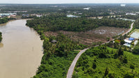 ที่ดินริมแม่น้ำ + สวนมะพร้าว เนื้อที่ 8-1-24 ไร่ บางโพธิ์ สุราษฎร์ธานี อ.เมือง สุราษฎร์ธานี