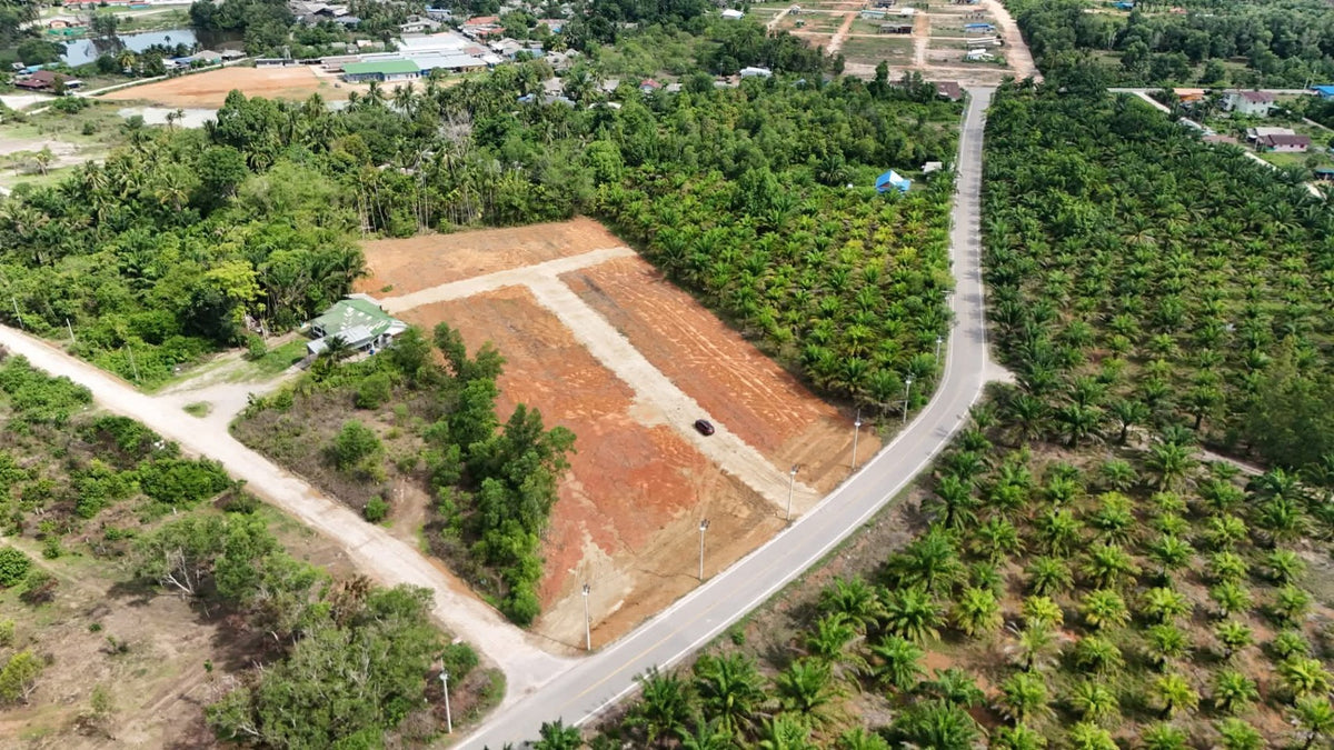 ขายที่ดินแบ่งล็อค @ระนอง ใกล้ The Baroni Ranong 400 ม. โซน 14 โค้ง ใกล้สนามบิน 9 กม.