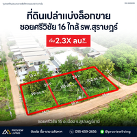 [For Sale] BS-08 Land plots for sale, 3 plots available, starting from 2.43 million baht. Suitable for housing development, Srivichai 16, BS-08, Surat Thani.